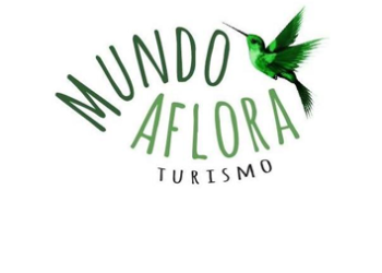 Mundo Aflora
