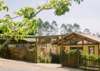 Mini Fazenda Pet Zoo