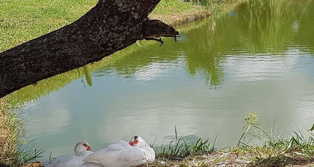 Pesqueiro João Hara