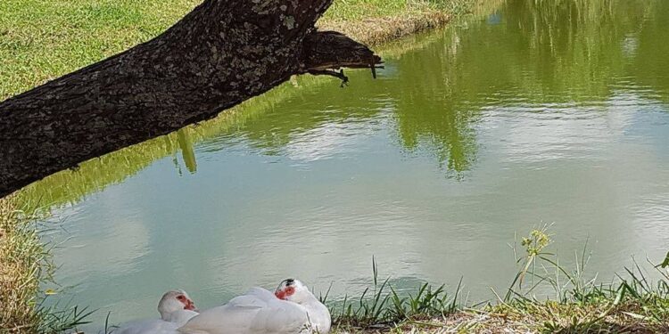 Pesqueiro João Hara