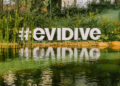 Evidive – Centro de Mergulho