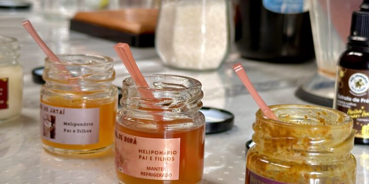 Meliponário Pai e Filhos