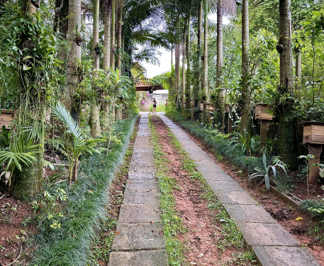 Meliponário Pai e Filhos