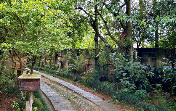 Meliponário Pai e Filhos