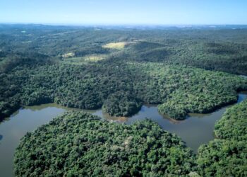 Reunião Pública – Conselho Consultivo do Parque Estadual do Morro Grande