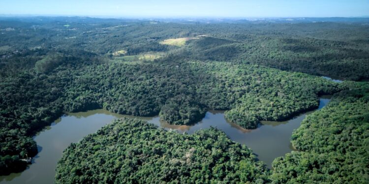 Reunião Pública – Conselho Consultivo do Parque Estadual do Morro Grande
